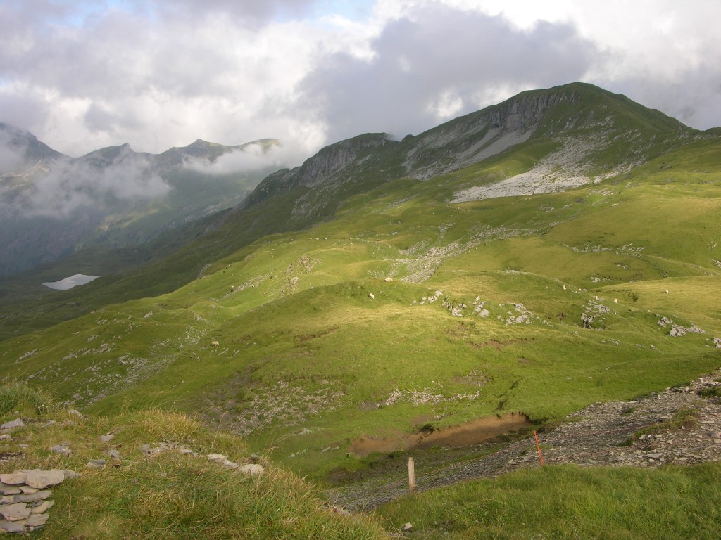 dscn4974.jpg
