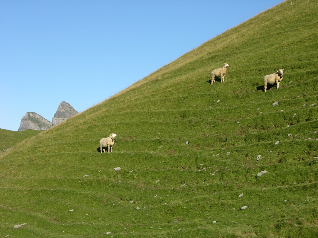dscn4992.jpg
