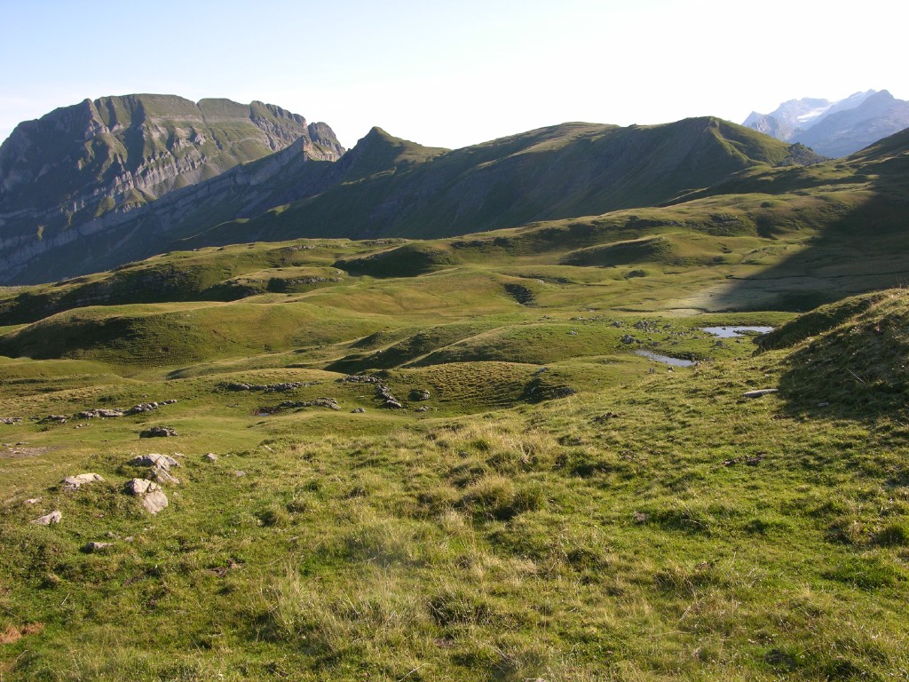 dscn4994.jpg