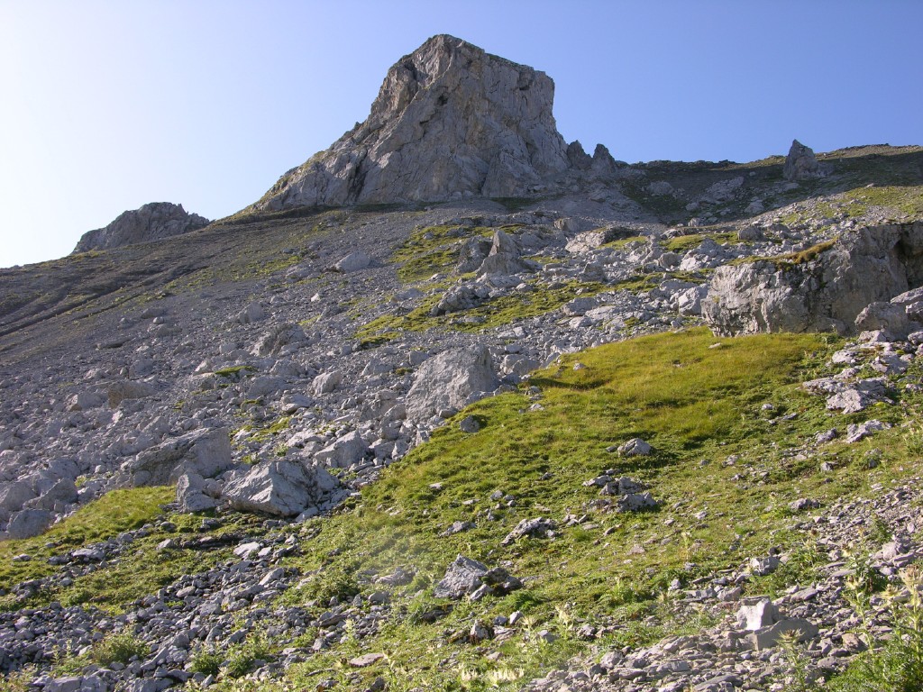 dscn4996.jpg