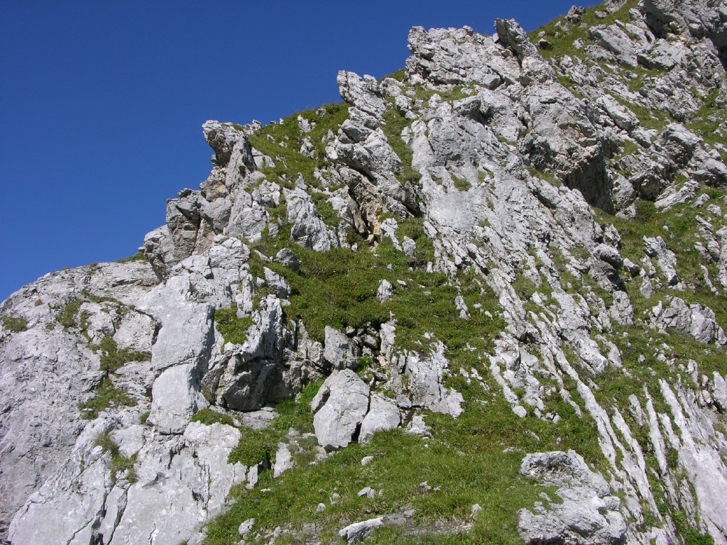 dscn4999.jpg