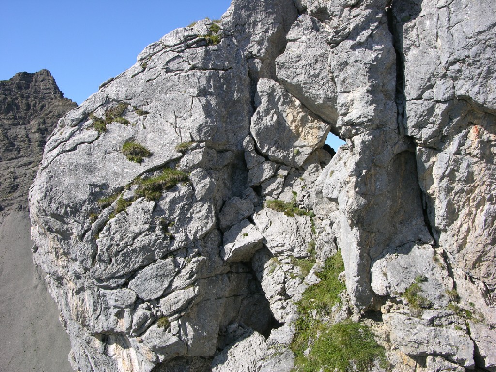 dscn5003.jpg