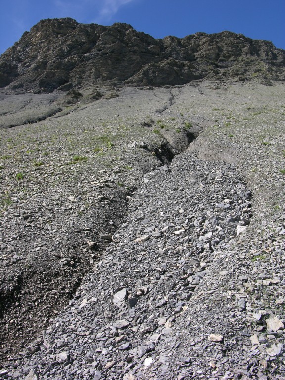 dscn5005.jpg