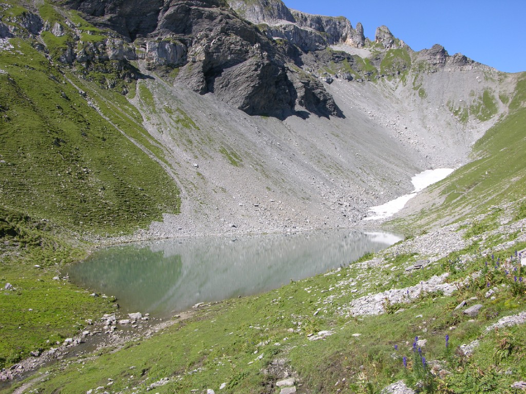 dscn5008.jpg