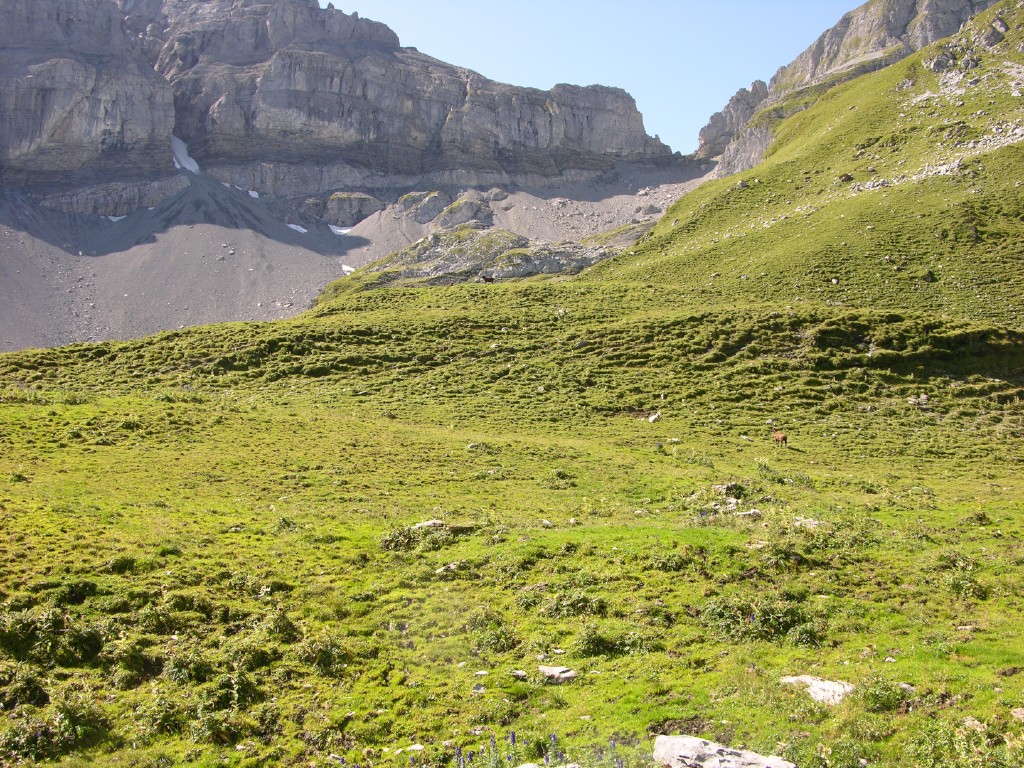 dscn5009.jpg