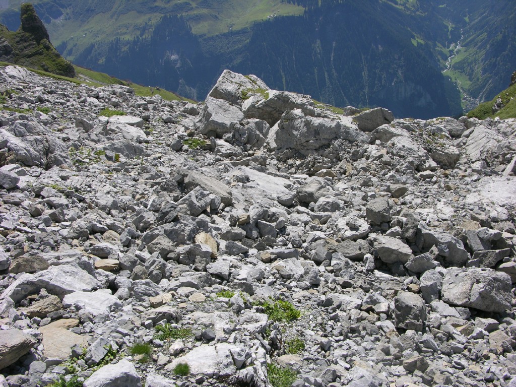 dscn5015.jpg