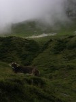 dscn4950.jpg