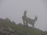 dscn4959.jpg
