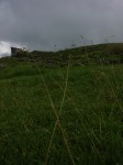 dscn4972.jpg