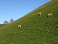 dscn4992.jpg