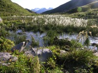 dscn4993.jpg