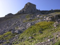 dscn4996.jpg