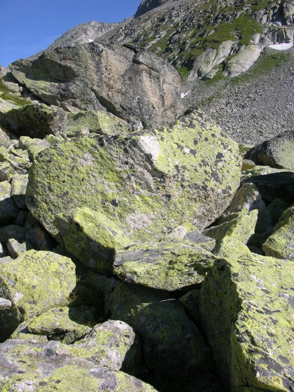 dscn4912.jpg
