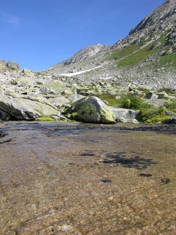 dscn4913.jpg