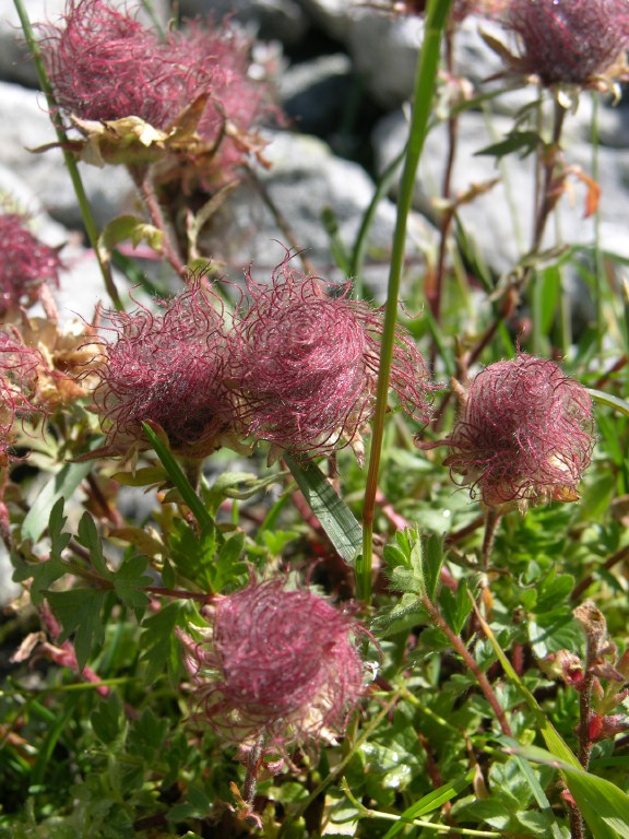 dscn4915.jpg