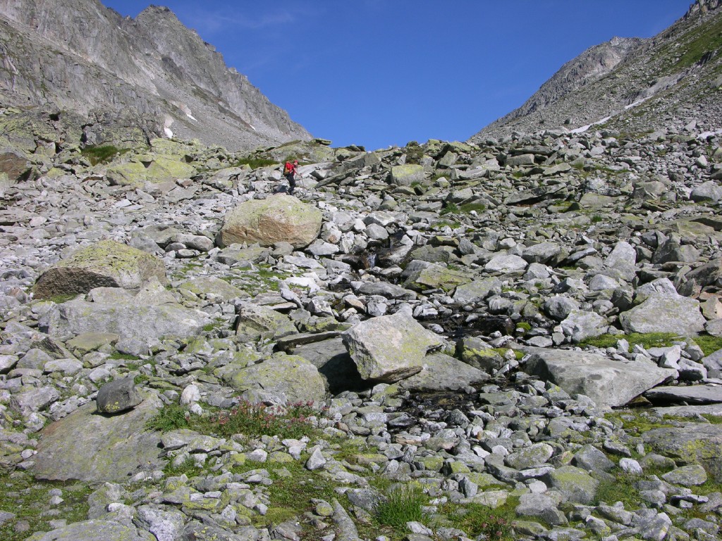 dscn4916.jpg