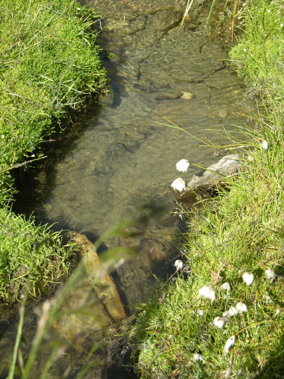 dscn4919.jpg