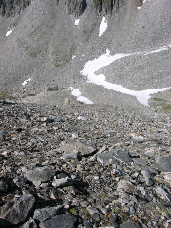 dscn4920.jpg