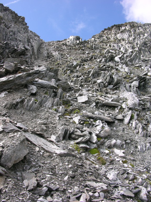 dscn4933.jpg