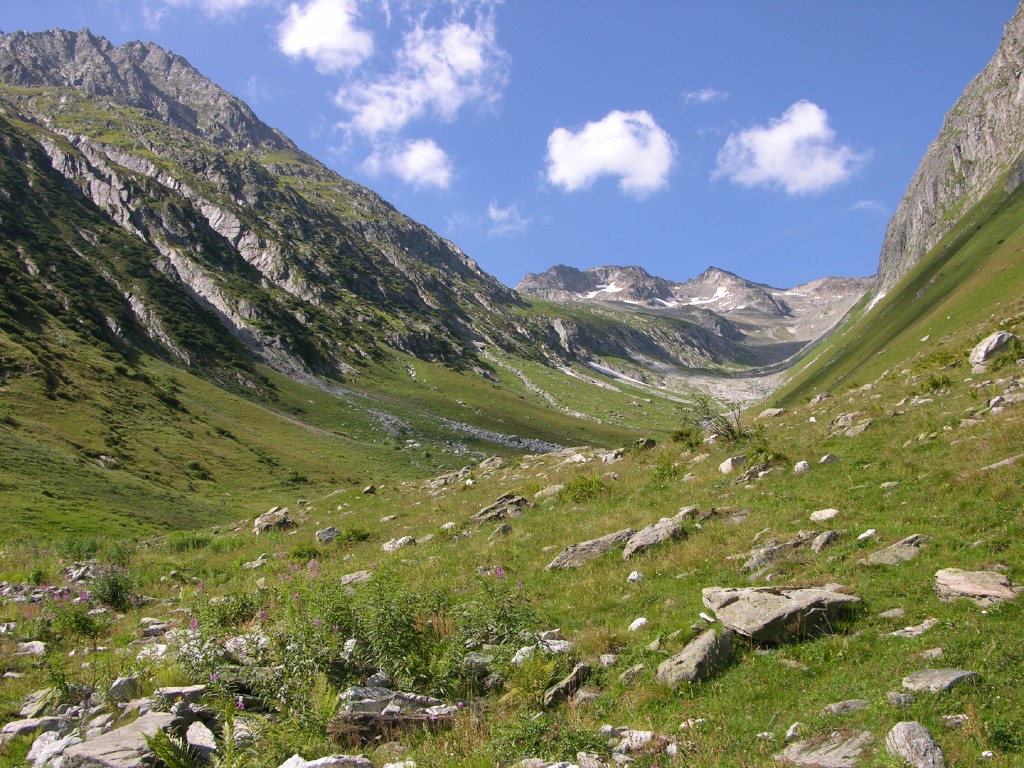 dscn4937.jpg