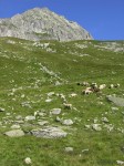 dscn4911.jpg