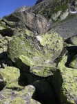 dscn4912.jpg