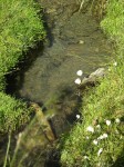 dscn4919.jpg