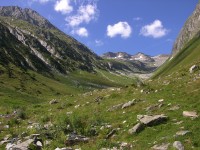 dscn4937.jpg