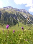 dscn4946.jpg