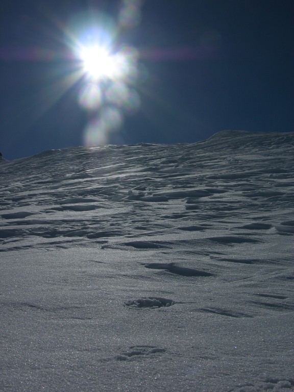 dscn3647.jpg