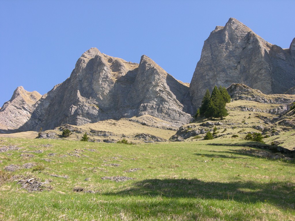 dscn4189.jpg