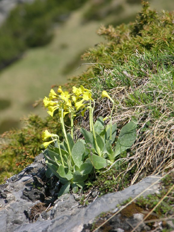 dscn4191.jpg