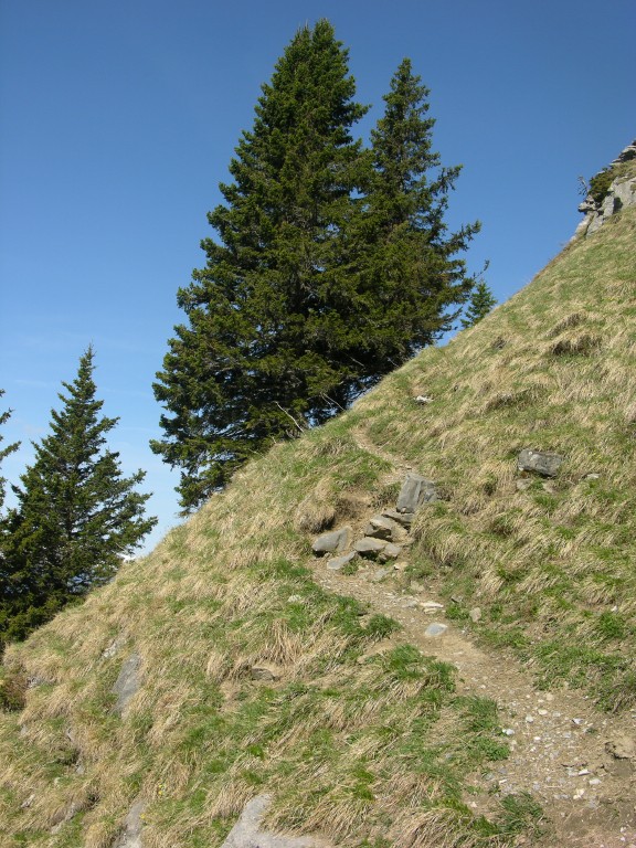 dscn4193.jpg