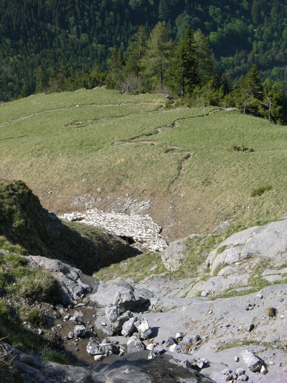 dscn4194.jpg
