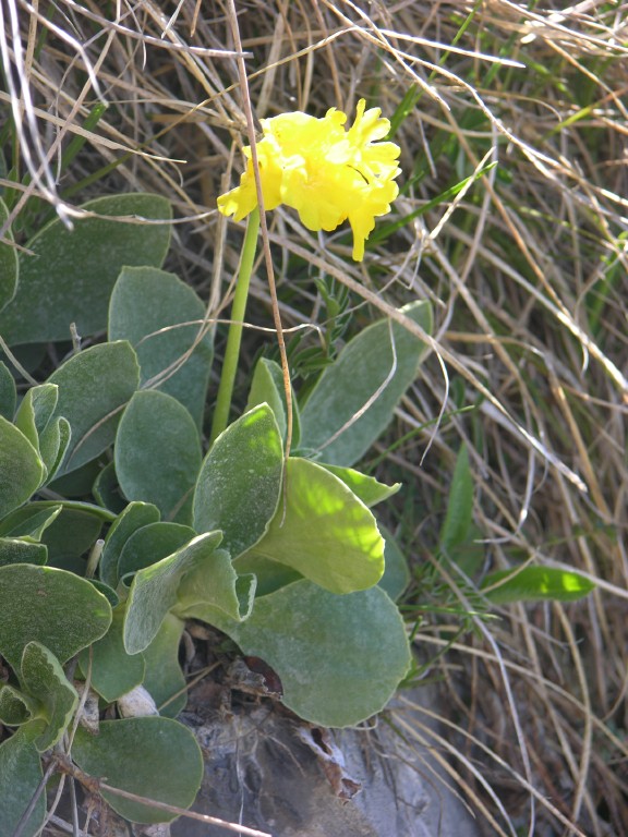 dscn4199.jpg