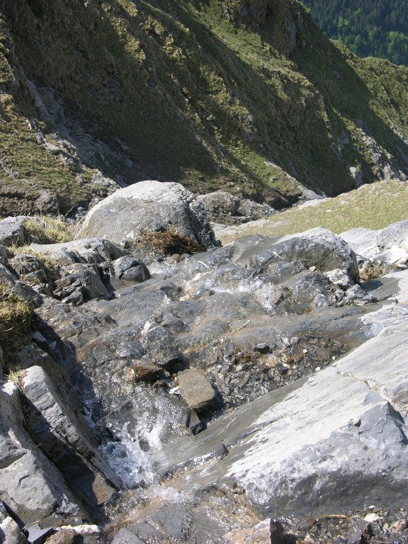 dscn4205.jpg