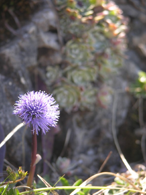 dscn4208.jpg