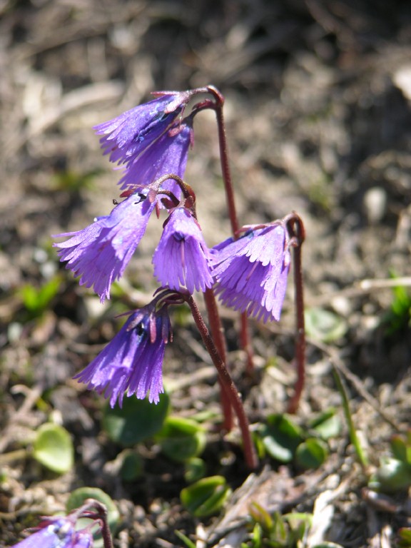 dscn4213.jpg