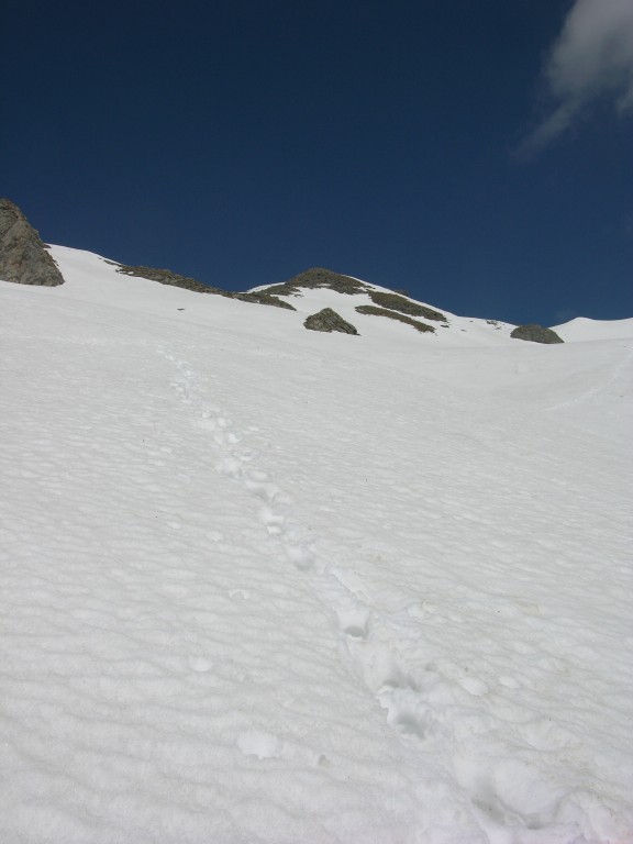 dscn4214.jpg