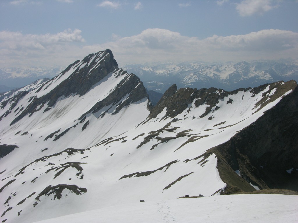 dscn4216.jpg