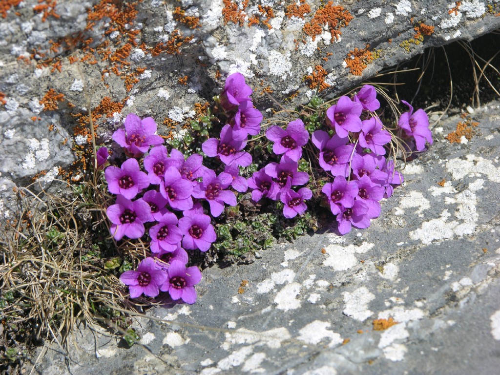 dscn4221.jpg