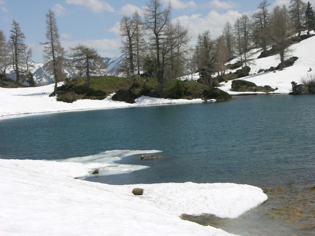 dscn4236.jpg