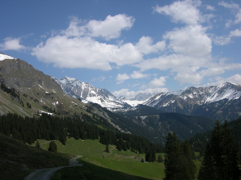 dscn4238.jpg