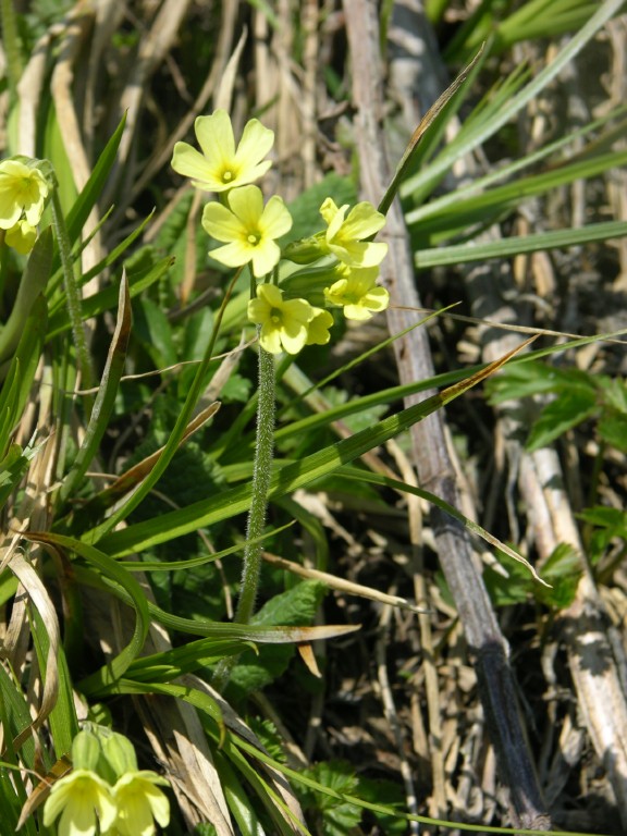 dscn4242.jpg