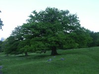 dscn4187.jpg