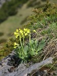 dscn4191.jpg