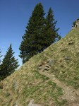 dscn4193.jpg