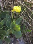 dscn4199.jpg