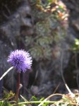 dscn4208.jpg
