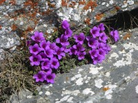 dscn4221.jpg